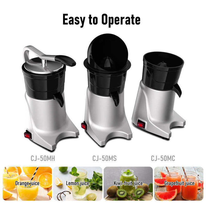 Eletrodoméstico de Cozinha: Li - Kitchen Appliances avaliação e preço